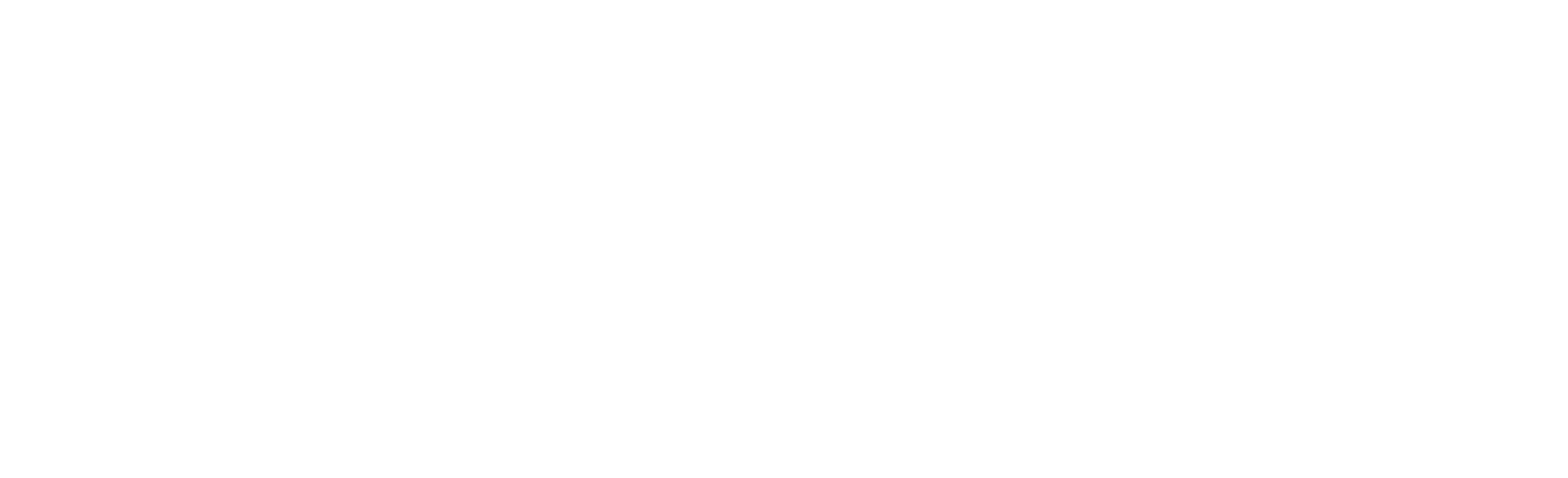 dillons Logo