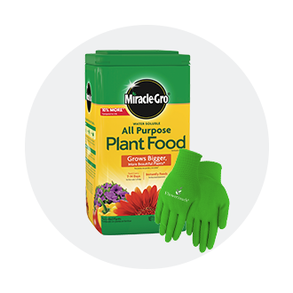 Seeds, Soils & Garden Essentials