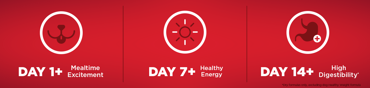 28DayChallenge