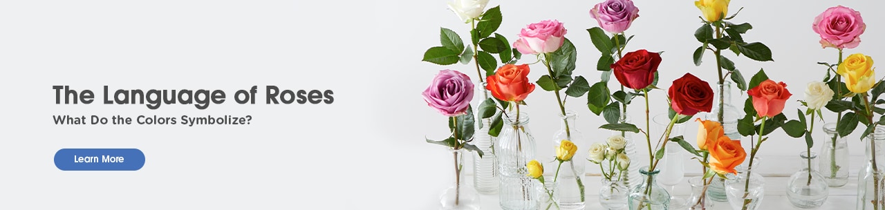 20 p1 deptpg floral hro v2