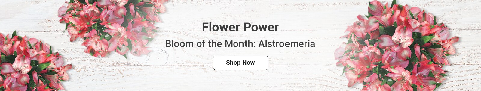 Dillons Food S Flowers Fl Arrangements Bloom Of The Month Alstroemeria