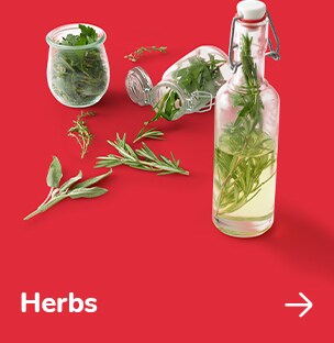 Herbs
