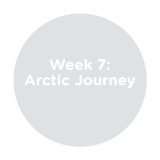 Week 7
