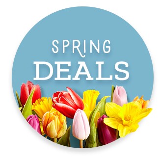Spring Savings & Deals