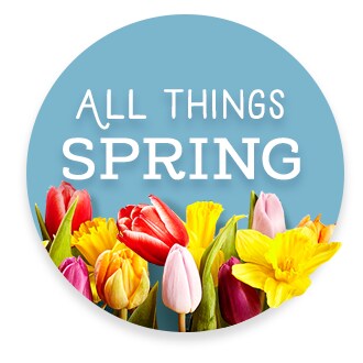 Your Spring Destination