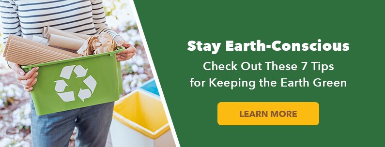 Stay Earth-Conscious - Check Out These 7 Tips for Keeping the Earth Green