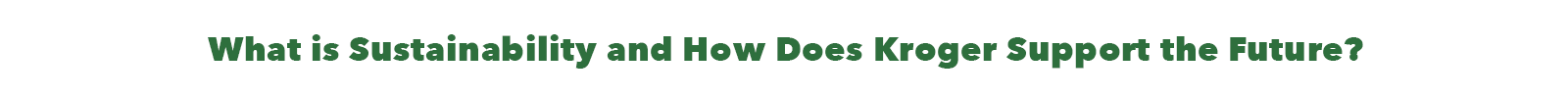Learn how Kroger is reducing it’s impact on the environment_skinny hero