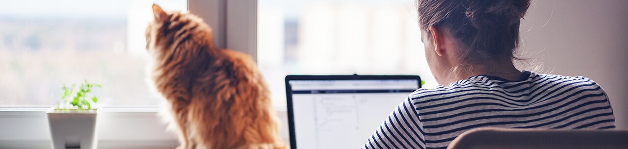 Ways to Stay Productive While Working from Home